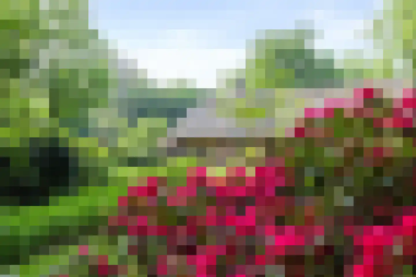 Kleuterhuislaan 1 Rijsbergen thumbnail 66