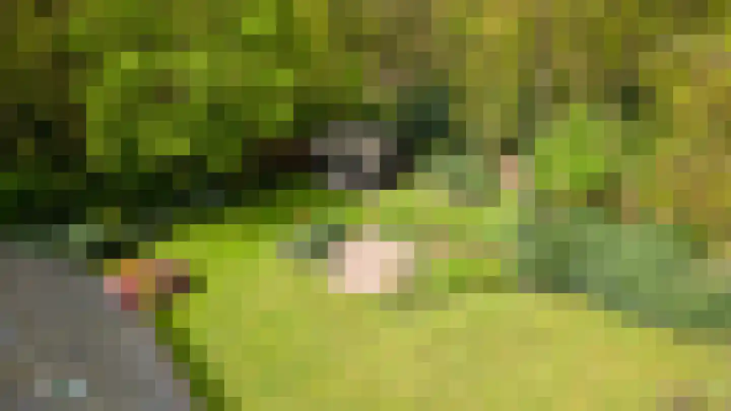 Kleuterhuislaan 1 Rijsbergen thumbnail 68