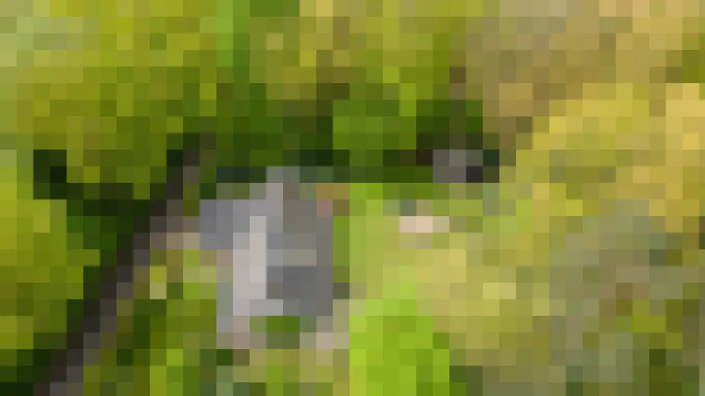 Kleuterhuislaan 1 Rijsbergen thumbnail 69