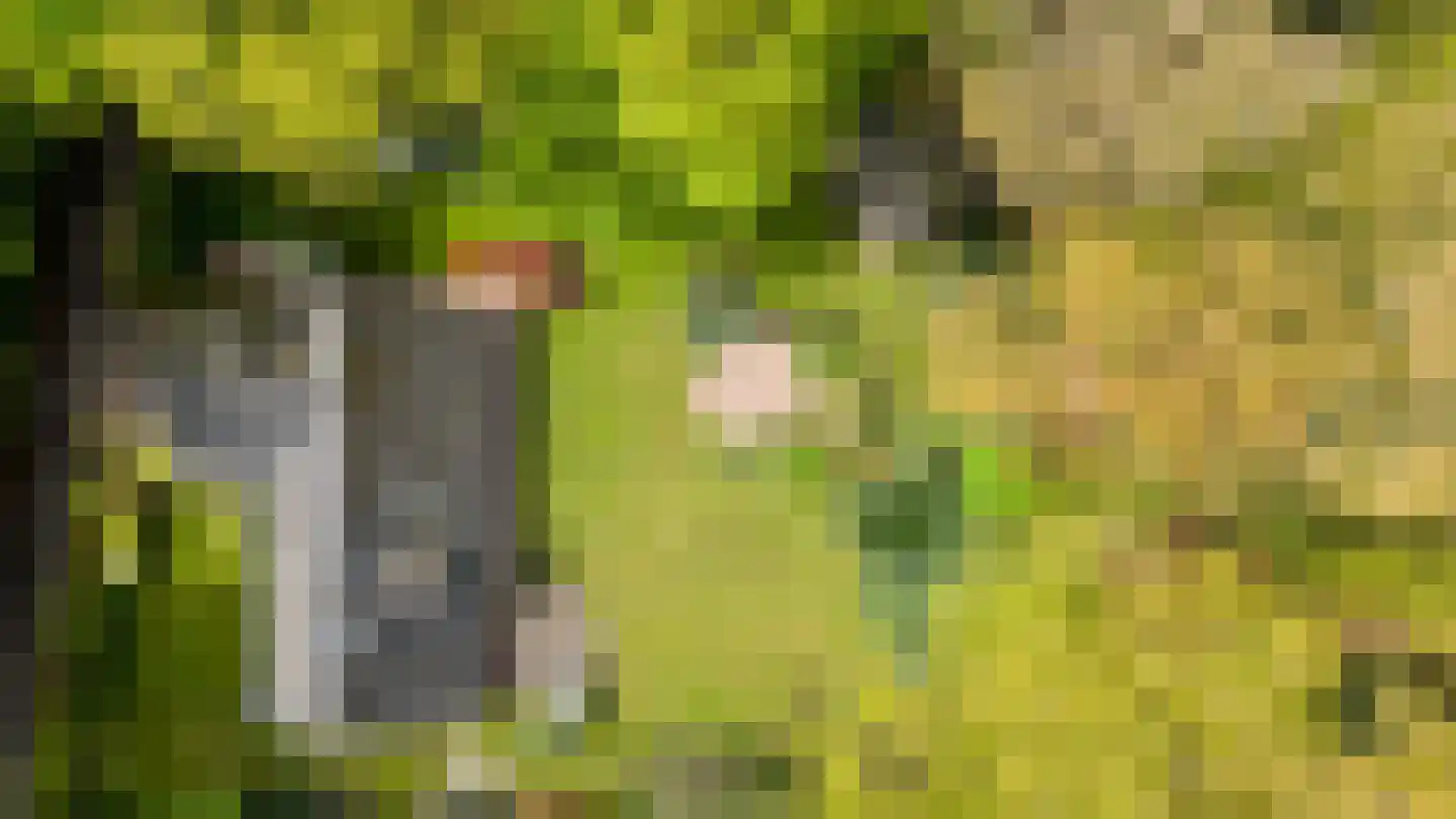 Kleuterhuislaan 1 Rijsbergen thumbnail 70
