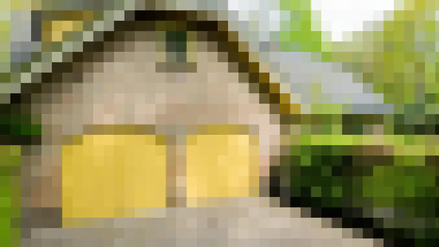 Kleuterhuislaan 1 Rijsbergen thumbnail 8