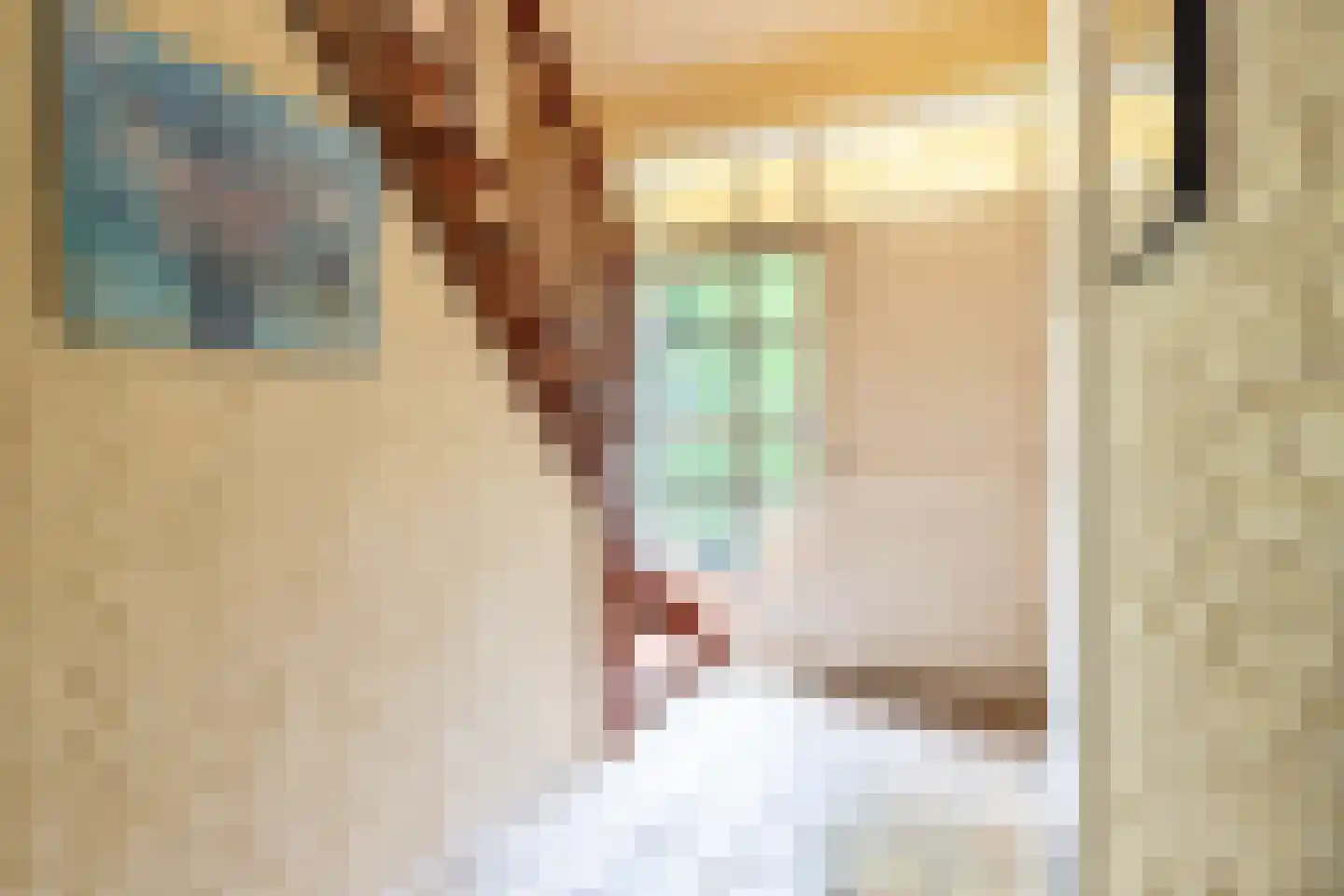 Kleuterhuislaan 1 Rijsbergen thumbnail 9