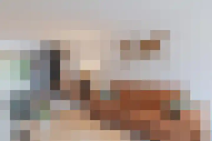 Kleuterstein 5 Loenen aan de Vecht thumbnail 6