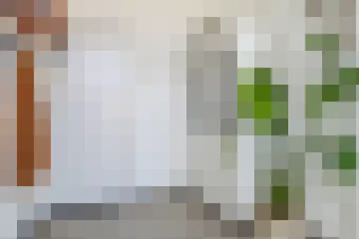Kleuterstraat 20 Zieuwent thumbnail 14