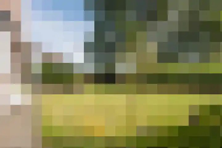 Kleuterstraat 20 Zieuwent thumbnail 32