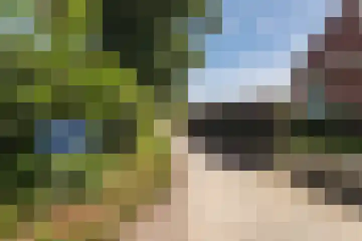 Kleuterstraat 20 Zieuwent thumbnail 4