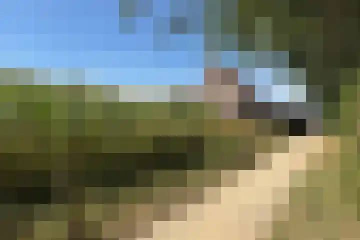 Kleuterstraat 20 Zieuwent thumbnail 43