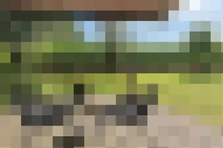 Kleuterstraat 20 Zieuwent thumbnail 6