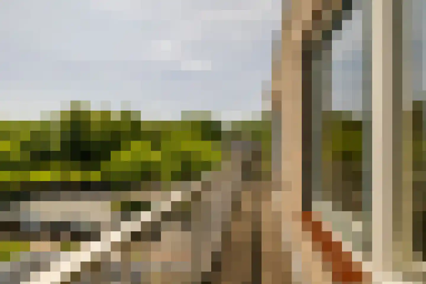 Kleverlaan 1 Bloemendaal thumbnail 15