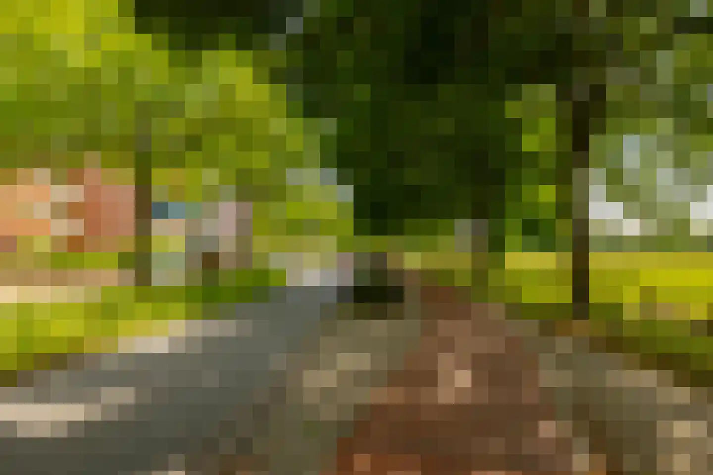 Kleverlaan 1 Bloemendaal thumbnail 34