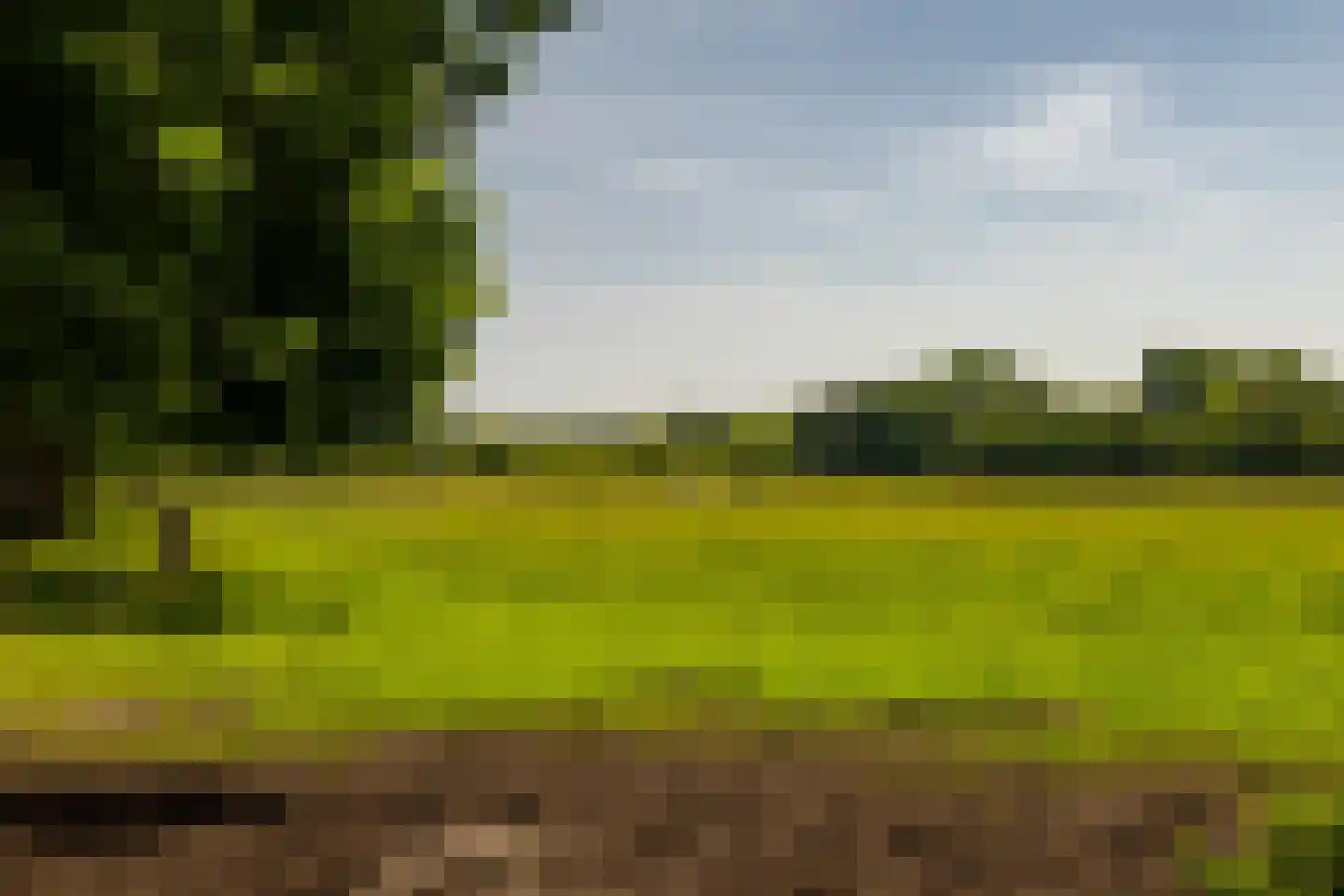 Kleverlaan 1 Bloemendaal thumbnail 35