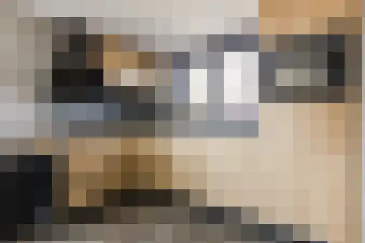 Kleverlaan 1 Egmond aan den Hoef thumbnail 11
