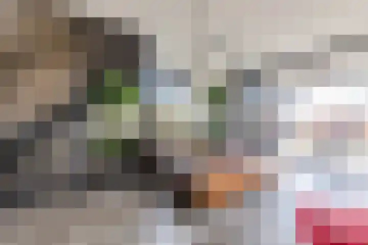 Kleverlaan 1 Egmond aan den Hoef thumbnail 12