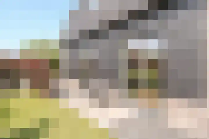 Kleverlaan 1 Egmond aan den Hoef thumbnail 23