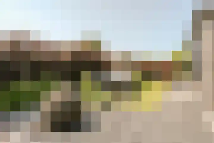 Kleverlaan 1 Egmond aan den Hoef thumbnail 26