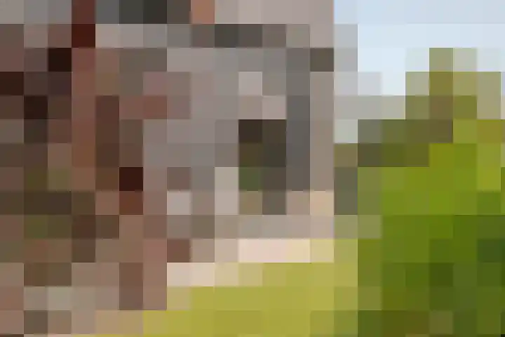 Kleverlaan 1 Egmond aan den Hoef thumbnail 27
