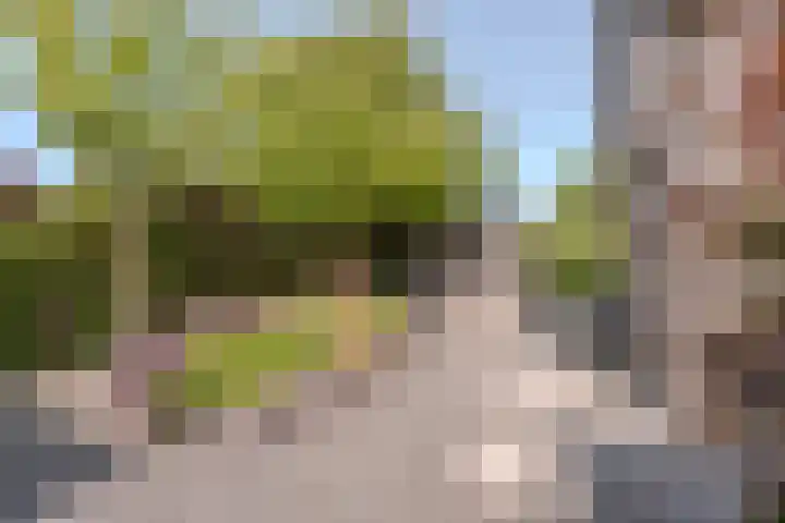 Kleverlaan 1 Egmond aan den Hoef thumbnail 28