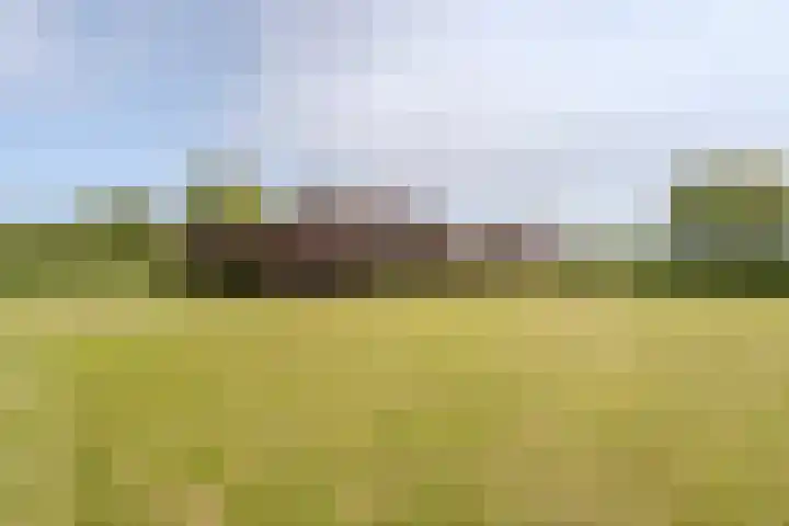 Kleverlaan 1 Egmond aan den Hoef thumbnail 30