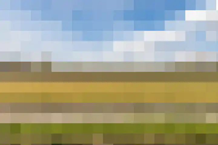 Kleverlaan 1 Egmond aan den Hoef thumbnail 31