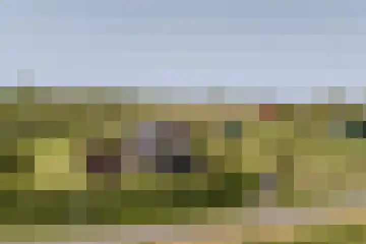 Kleverlaan 1 Egmond aan den Hoef thumbnail 33