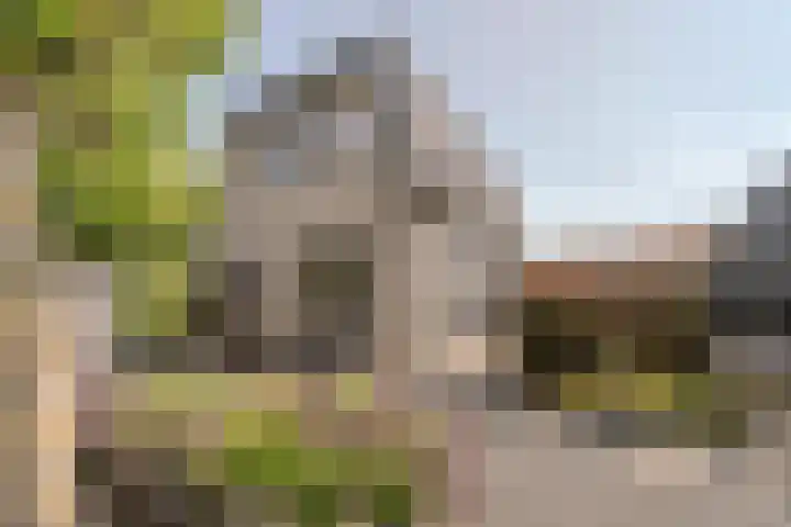 Kleverlaan 1 Egmond aan den Hoef thumbnail 4