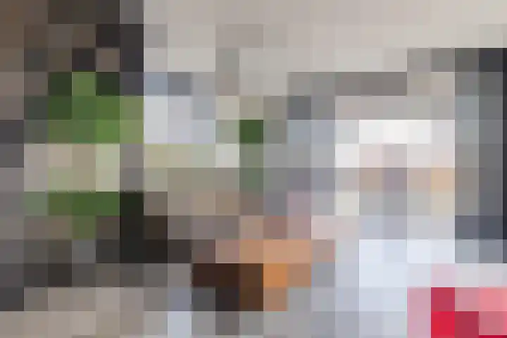 Kleverlaan 1 Egmond aan den Hoef thumbnail 8