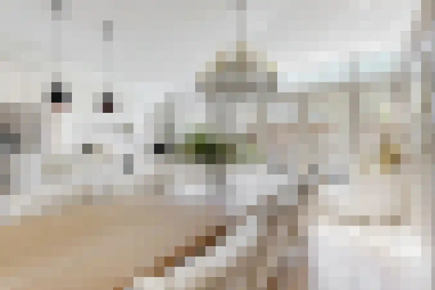 Kleverlaan 146 Haarlem thumbnail 16