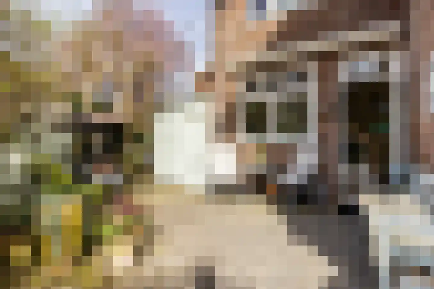 Kleverlaan 156 Haarlem thumbnail 19