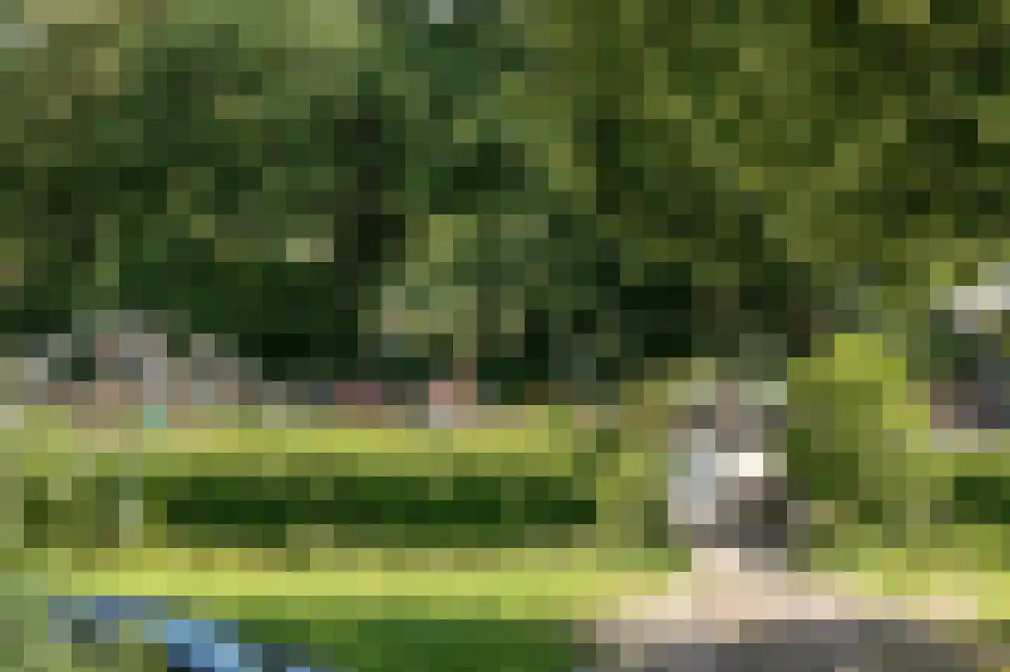 Kleverlaan 156 Haarlem thumbnail 39
