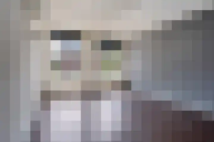 Kleverlaan 3 D Haarlem thumbnail 8
