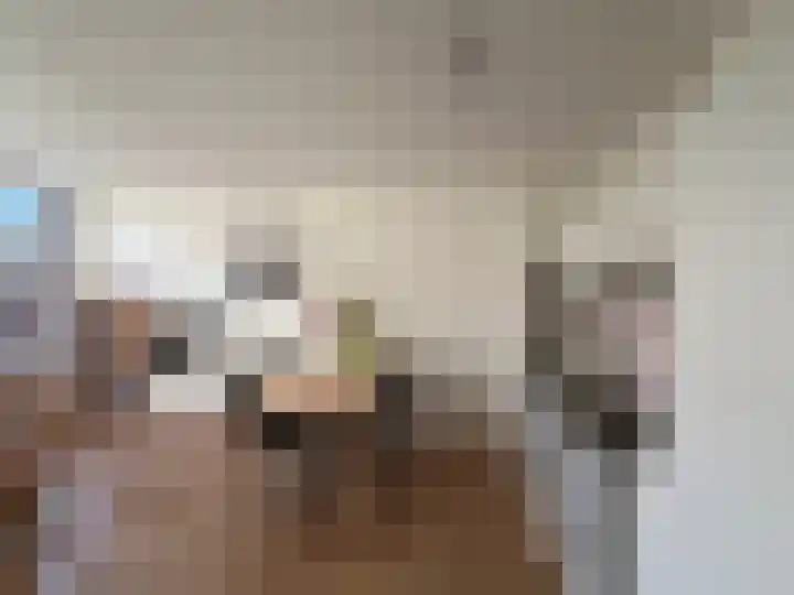 Kleverlaan 3 F Haarlem thumbnail 7