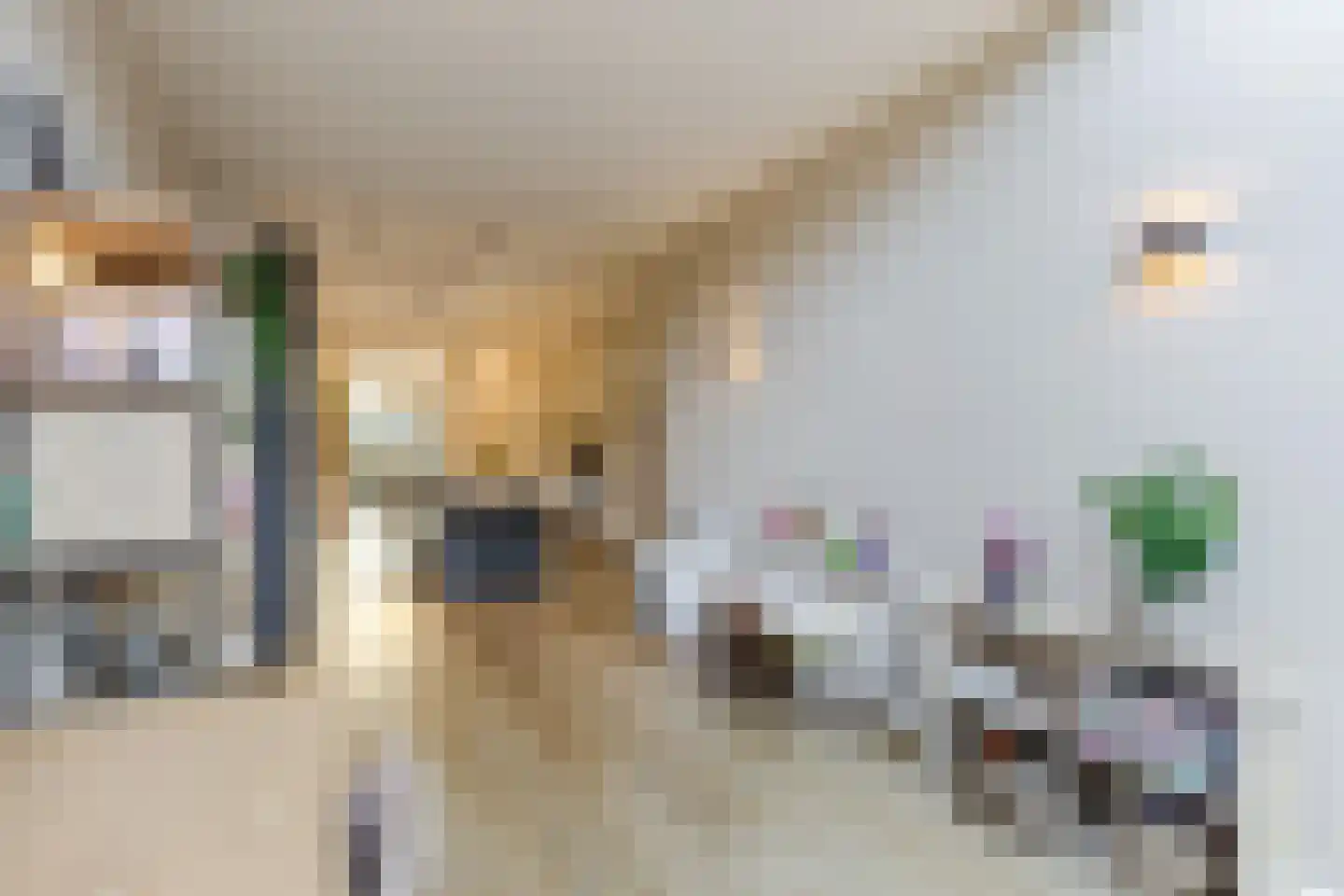 Kleverlaan 39 Bloemendaal thumbnail 19