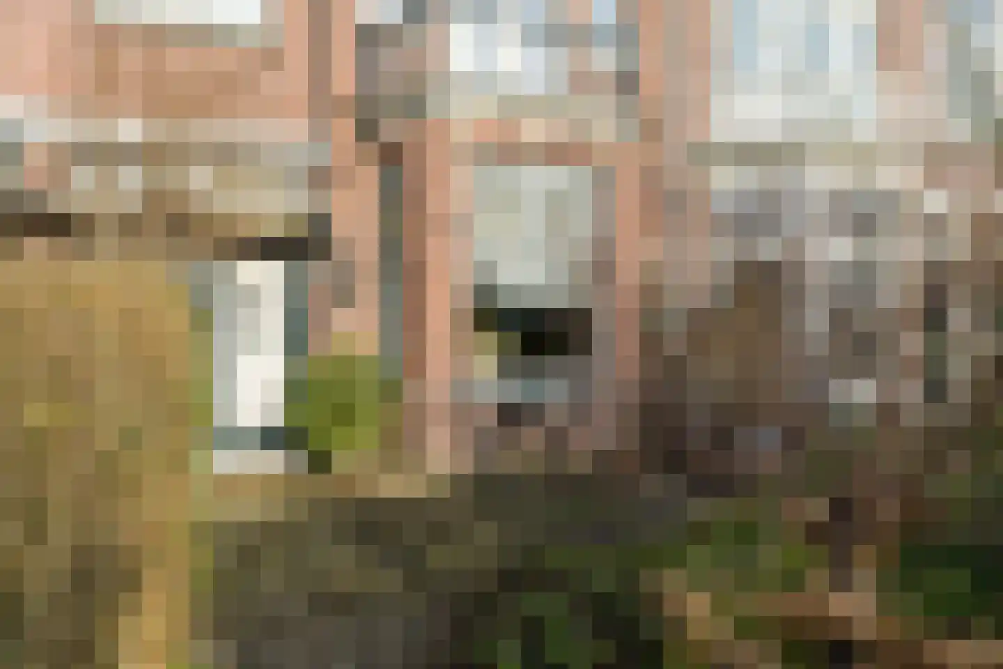 Kleverlaan 39 Bloemendaal thumbnail 5