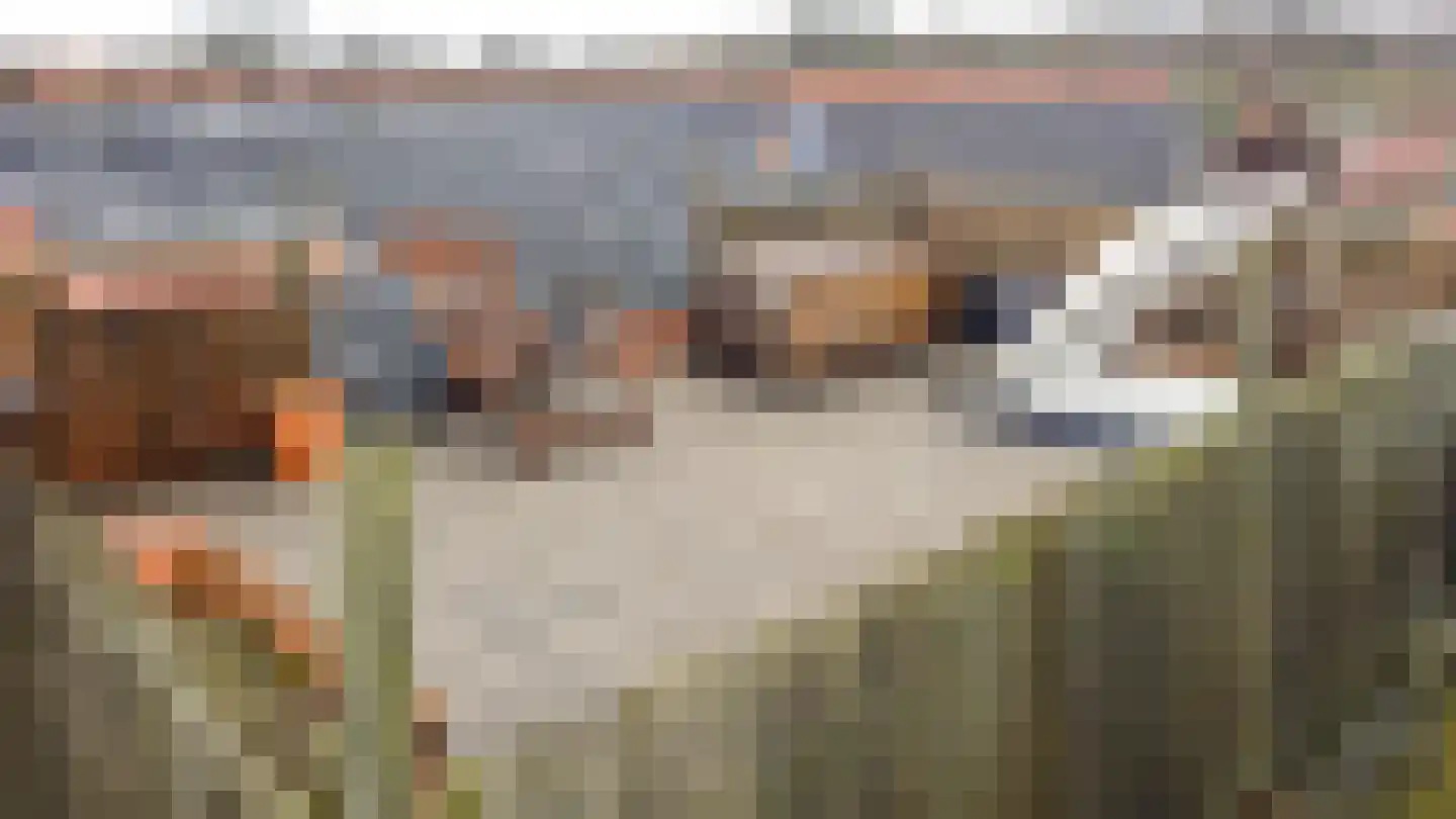 Kleverlaan 43 Bloemendaal thumbnail 37