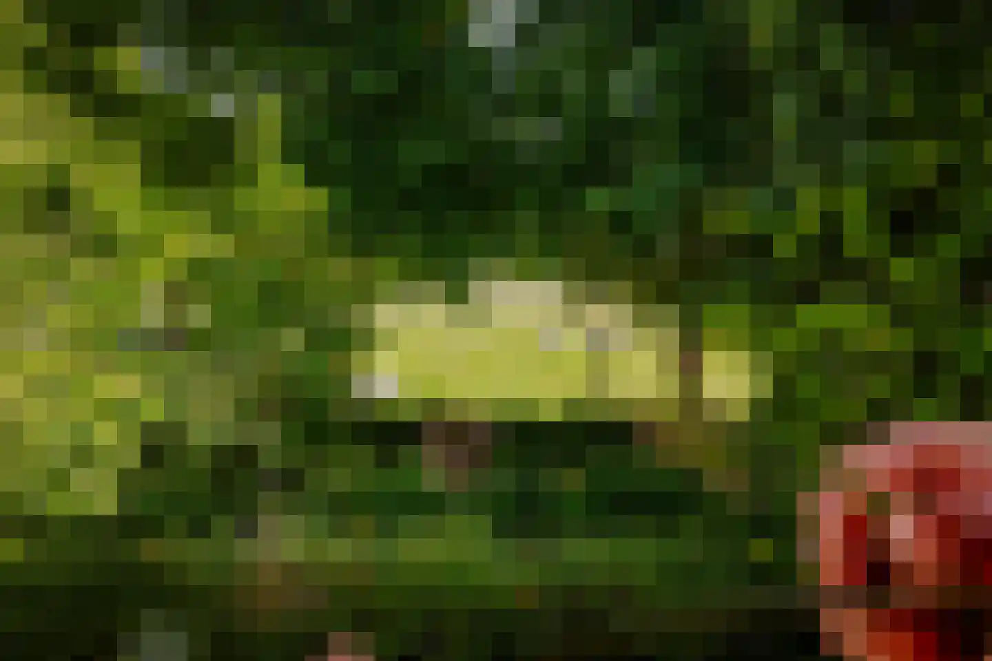 Kleverlaan 8 Bloemendaal thumbnail 25