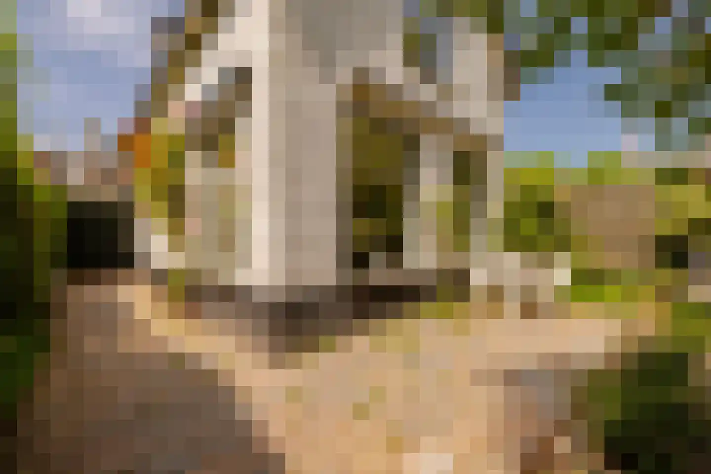 Kleverlaan 8 Bloemendaal thumbnail 34