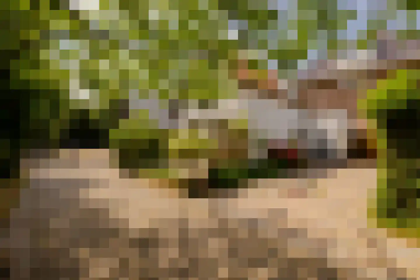 Kleverlaan 8 Bloemendaal thumbnail 35