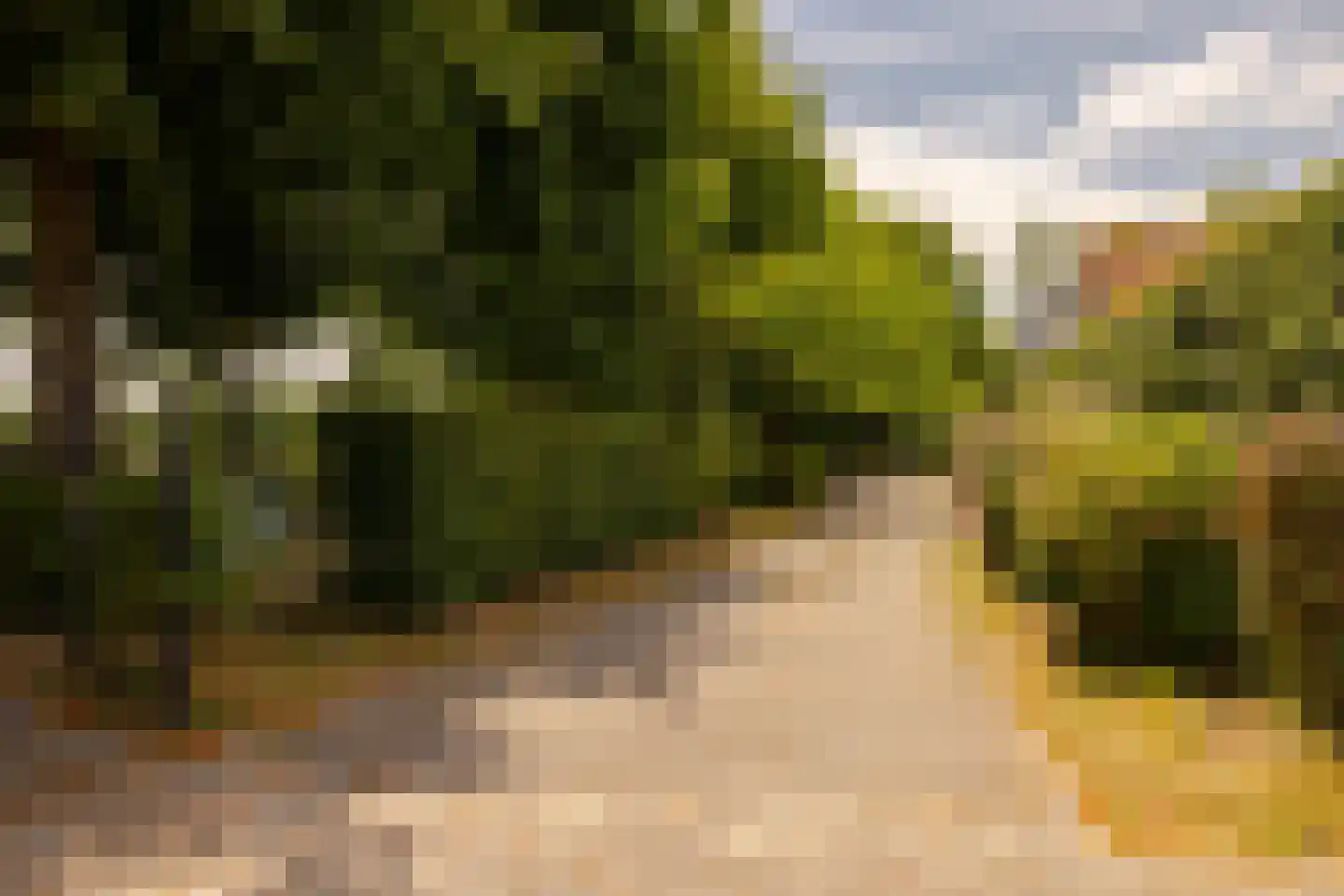 Kleverlaan 8 Bloemendaal thumbnail 38
