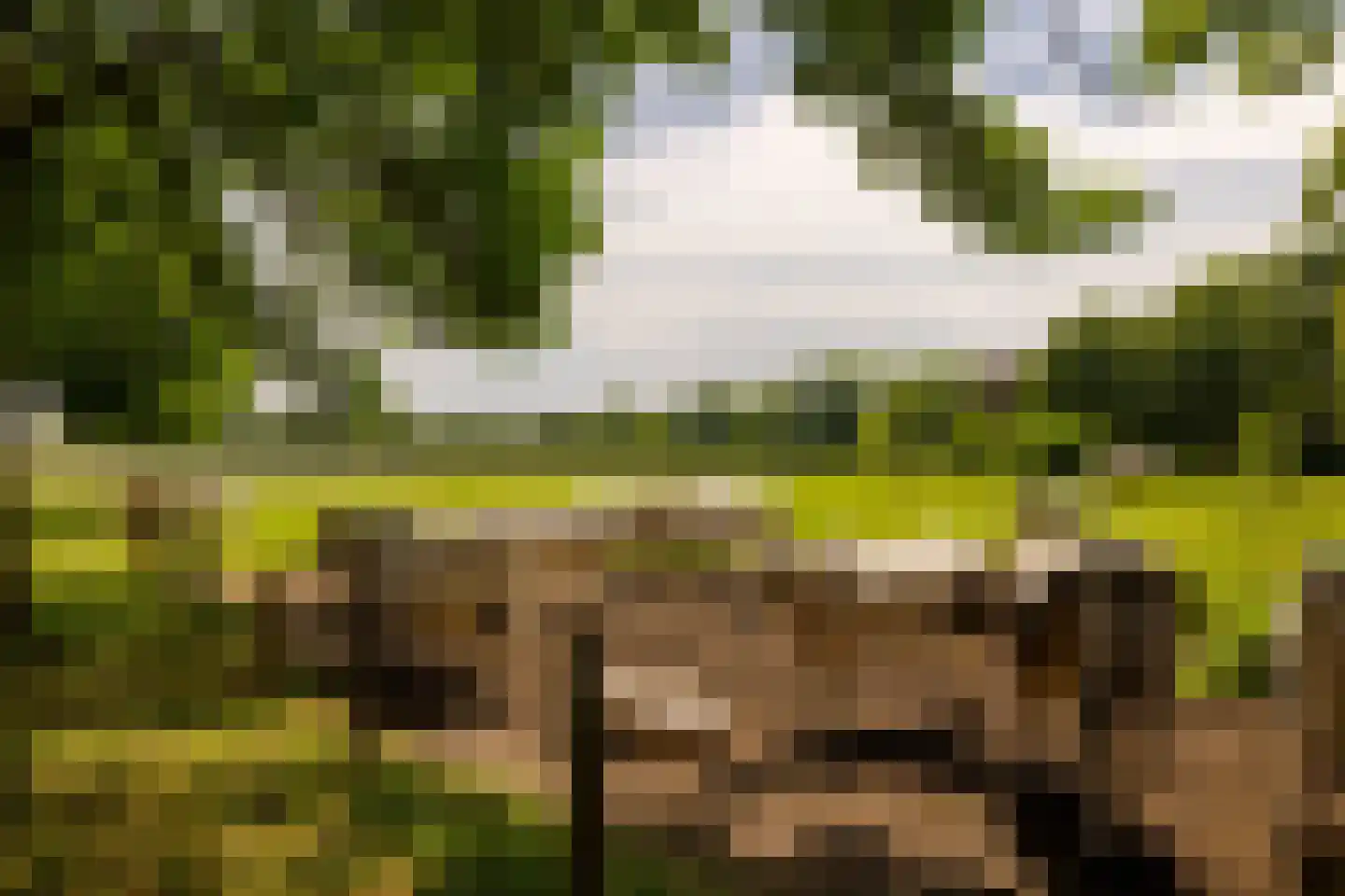 Kleverlaan 8 Bloemendaal thumbnail 39