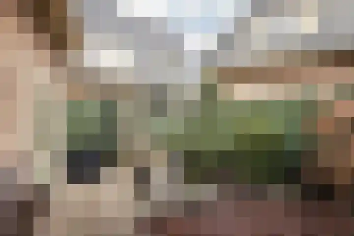 Kleverlaan 88 Haarlem thumbnail 14