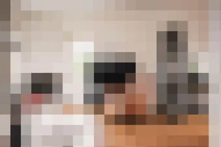Kleverlaan 88 Haarlem thumbnail 8