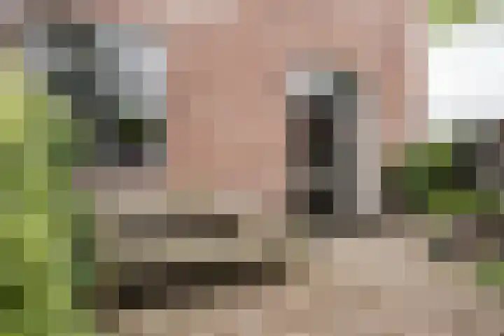 Kleverparkstraat 16 Haarlem thumbnail 16
