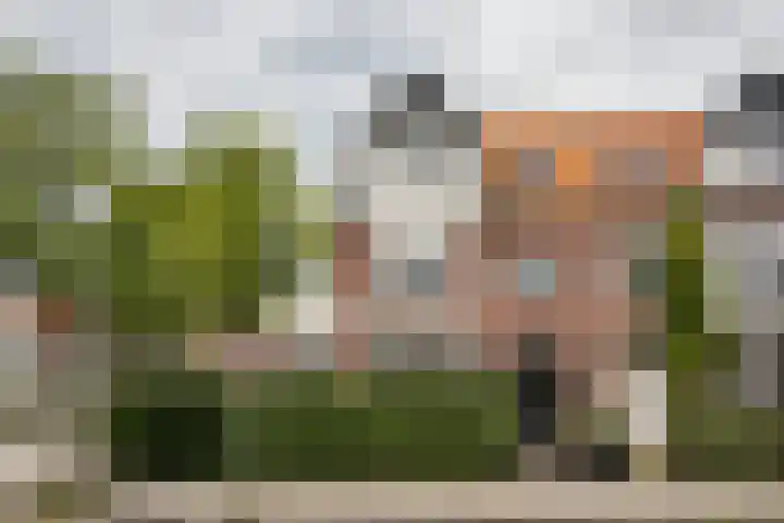 Kleverparkstraat 16 Haarlem thumbnail 43
