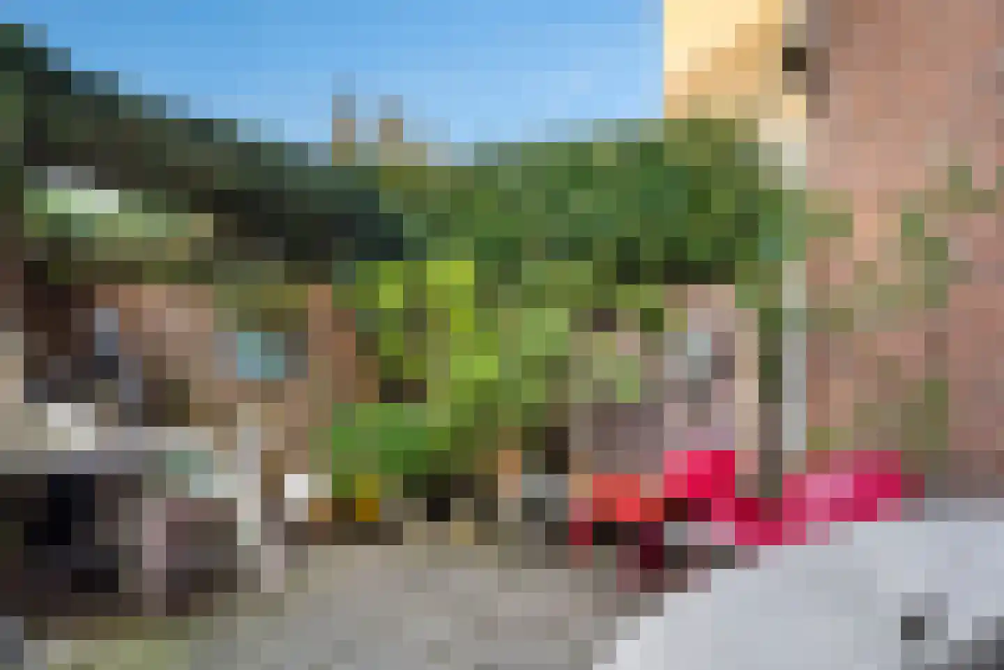 Kleverparkweg 62 Haarlem thumbnail 4