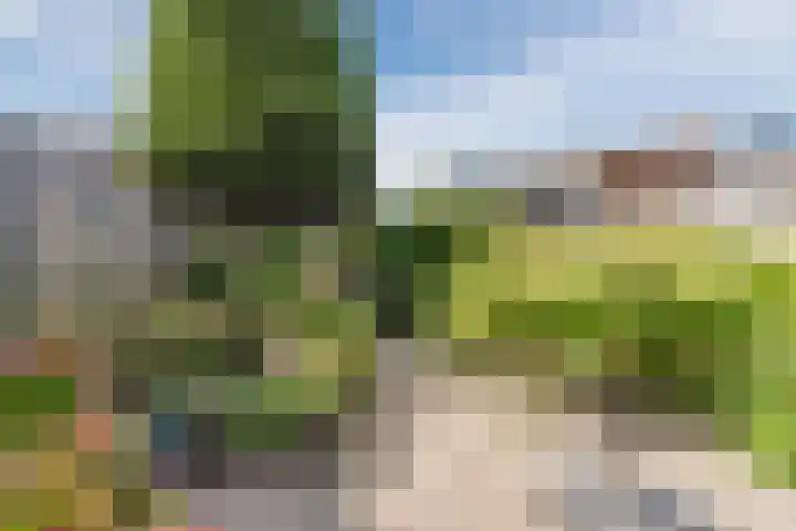 Kleyn Proffijtlaan 16 Oegstgeest thumbnail 36