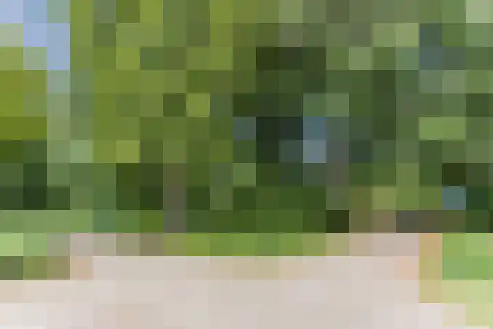 Kleyn Proffijtlaan 16 Oegstgeest thumbnail 39