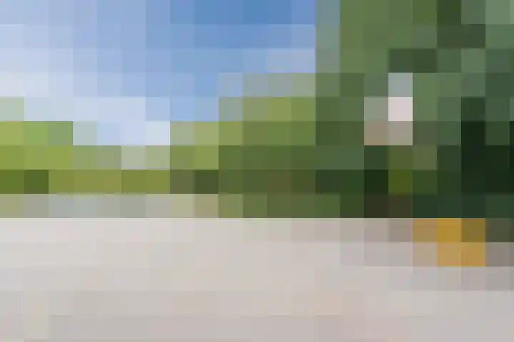 Kleyn Proffijtlaan 16 Oegstgeest thumbnail 40