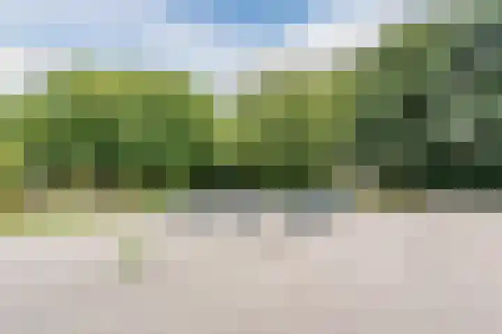 Kleyn Proffijtlaan 16 Oegstgeest thumbnail 41