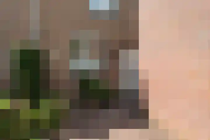 Kleyn Proffijtlaan 16 Oegstgeest thumbnail 6