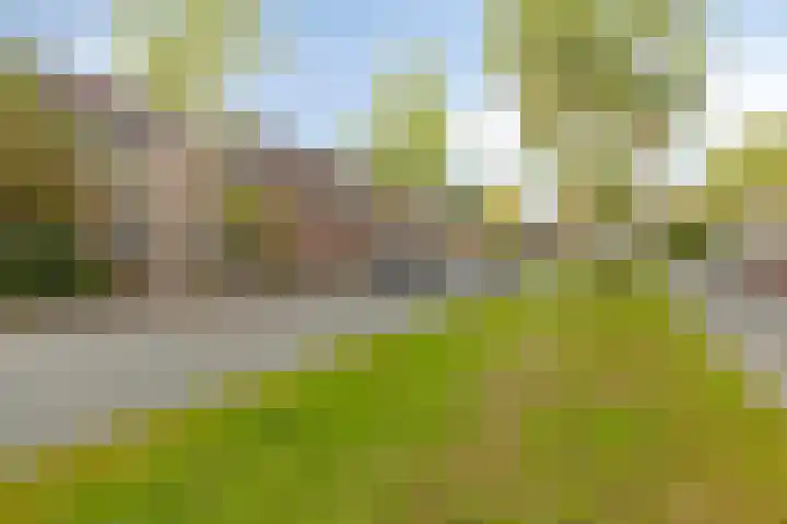 Kleyn Proffijtlaan 22 Oegstgeest thumbnail 33